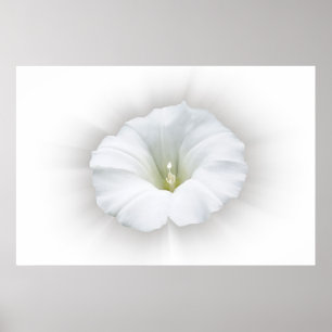 white and shades of grey poster