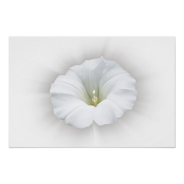 white and shades of grey poster (Front)