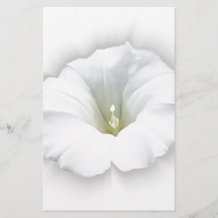 white and shades of grey stationery