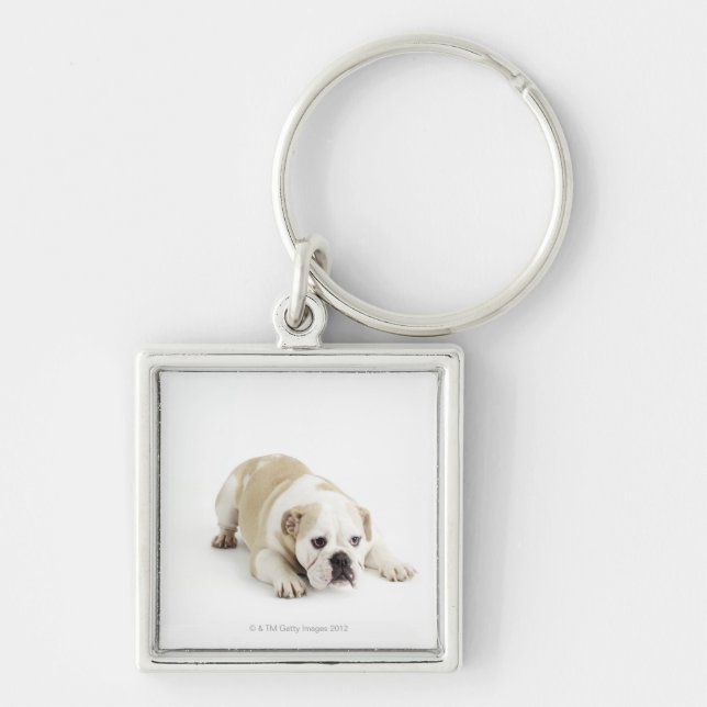 White and tan bulldog key ring (Front)
