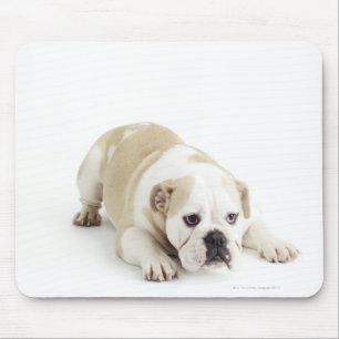 White and tan bulldog mouse pad