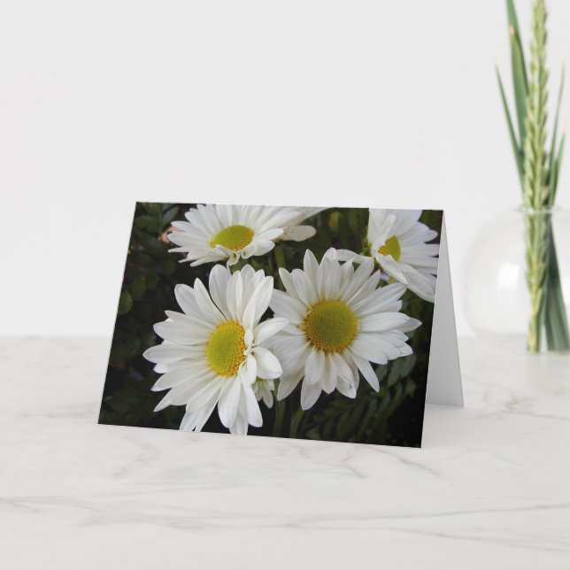 White and Yellow Daisies Blank Note Card (Front)