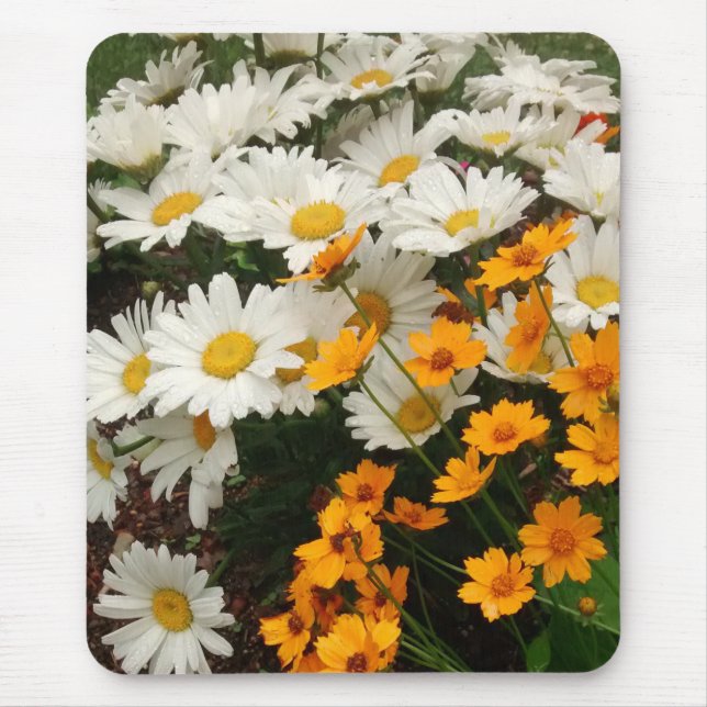 White and Yellow Daisies Mouse Pad (Front)