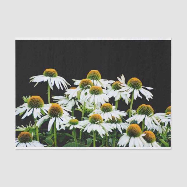 White and Yellow Daisies on Black Tissue Paper (Front)