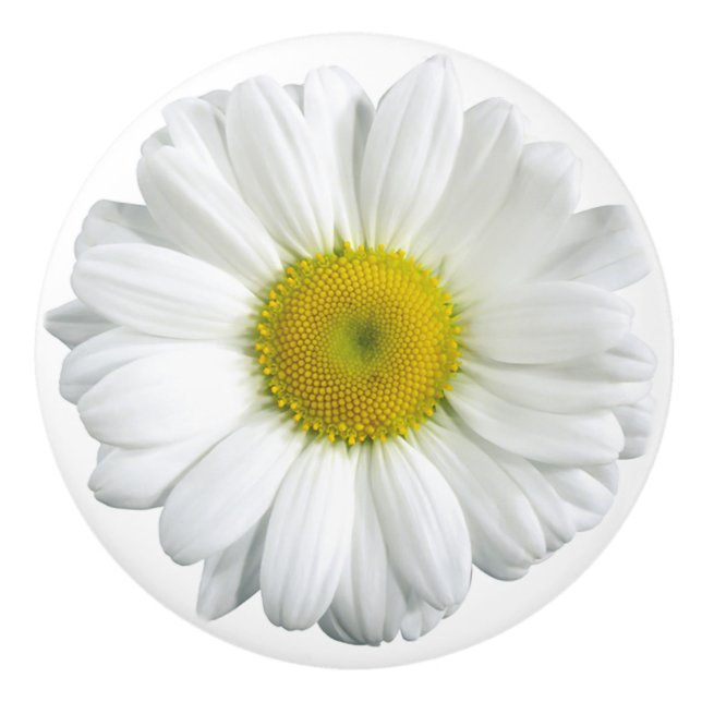 White and Yellow Daisy Pretty Ceramic Knob (Front)
