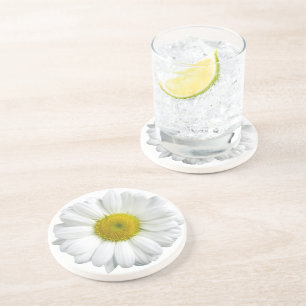 White and Yellow Daisy Pretty Coaster
