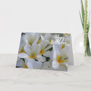 White and Yellow Flowers Close Happy Birthday Card