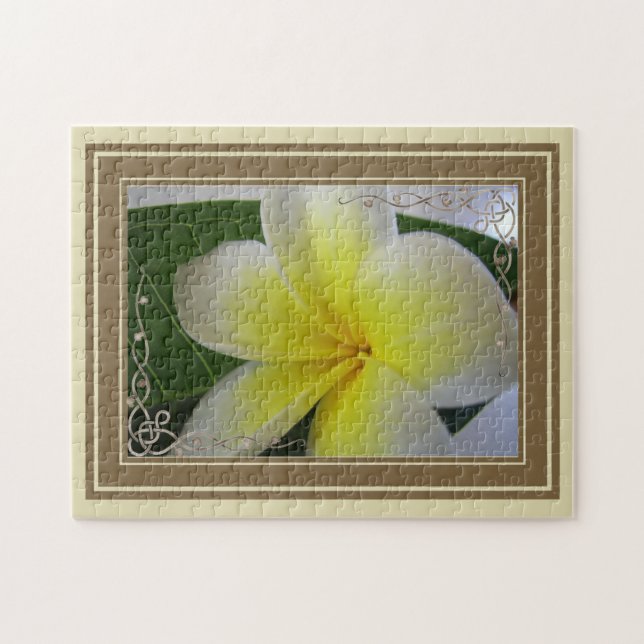 White And Yellow Frangipani Flower Jigsaw Puzzle (Horizontal)