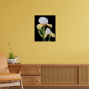 White and Yellow Irises on Black Floral Poster