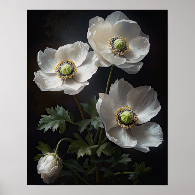 White Anemone Flowers Art Print Poster (Front)