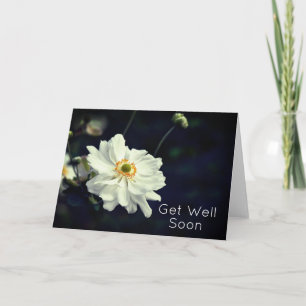 White Anemone Garden Flowers Get Well Soon Card