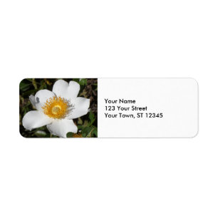 White Anemone Return Address Label