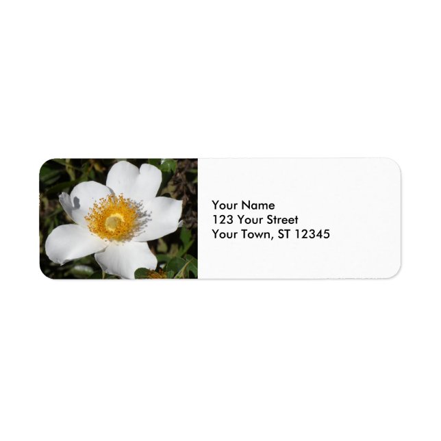 White Anemone Return Address Label (Front)