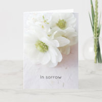 White anemones on texture sympathy