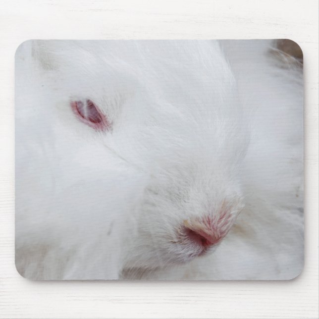White Angora Rabbit Mouse Pad (Front)