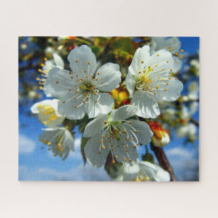 White apple blossom flowers jigsaw puzzle