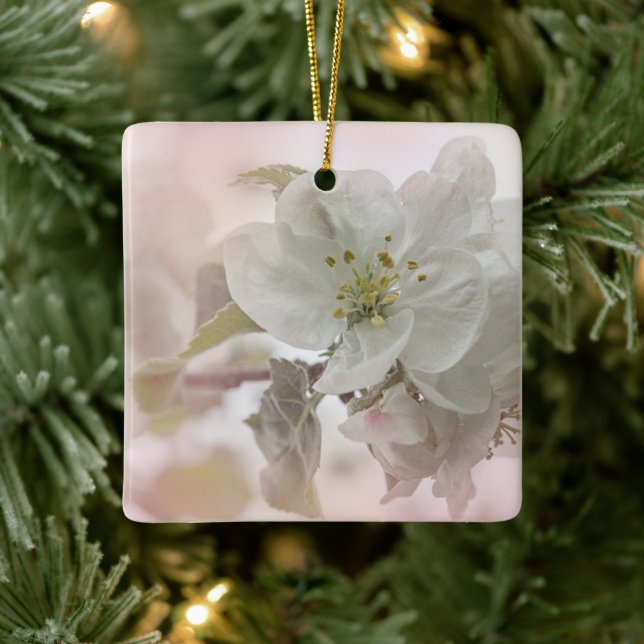 White Apple Blossom Photograph Ceramic Ornament (Tree)