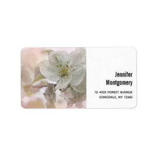 White Apple Blossom Photograph Label