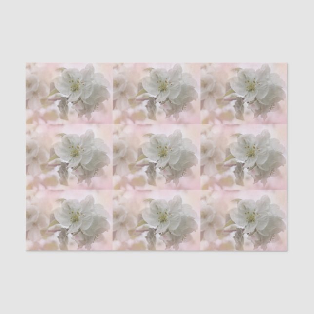 White Apple Blossom Photograph Patterned Tissue Paper (Front)
