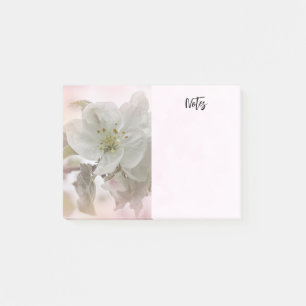 White Apple Blossom Photograph Post-it Notes