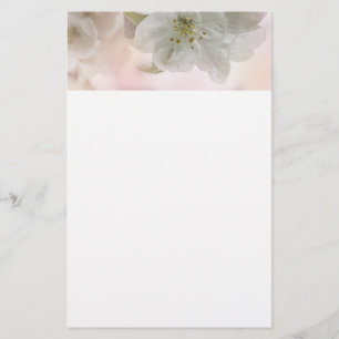 White Apple Blossom Photograph Stationery