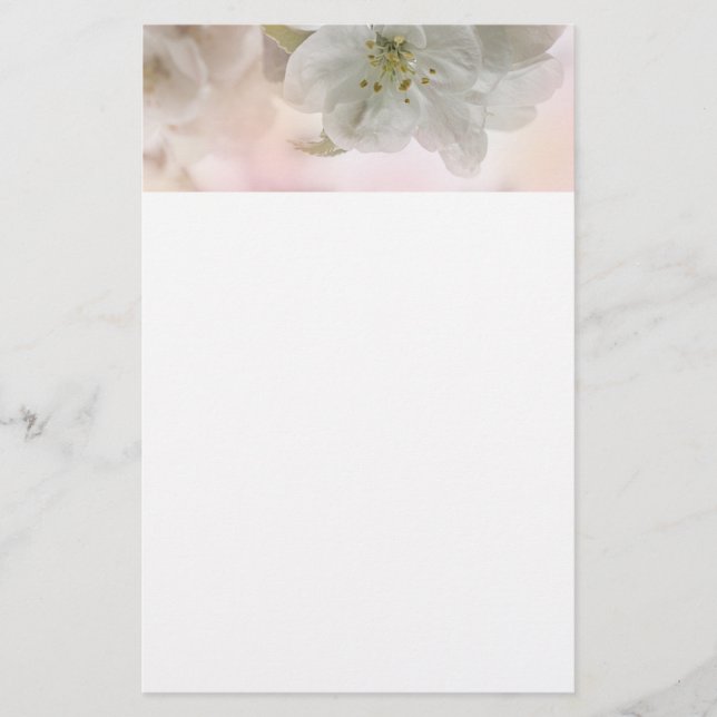White Apple Blossom Photograph Stationery (Front)