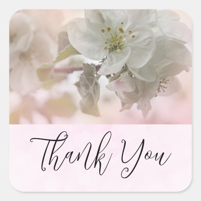 White Apple Blossom Photograph Thank You Square Sticker (Front)