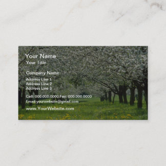 white Apple trees flowers Business Card
