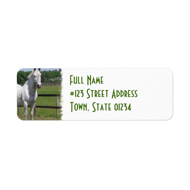 White Arab Horse Return Address Label (Front)