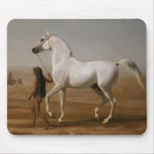 White Arab stallion Mouse Pad
