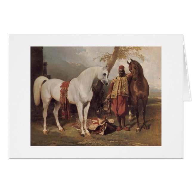 White Arabian (Front Horizontal)