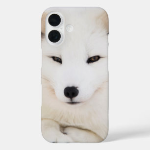White arctic fox iPhone 16 case