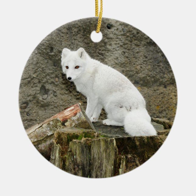 White arctic fox christmas ornament (Front)