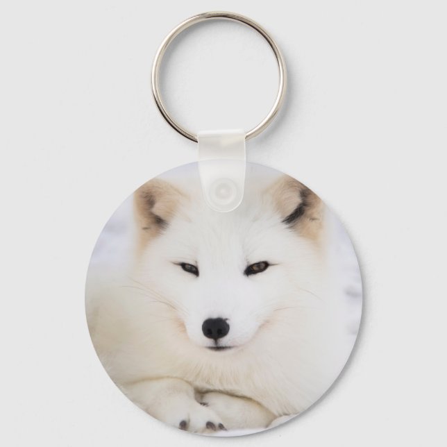 White arctic fox in snow key ring (Front)
