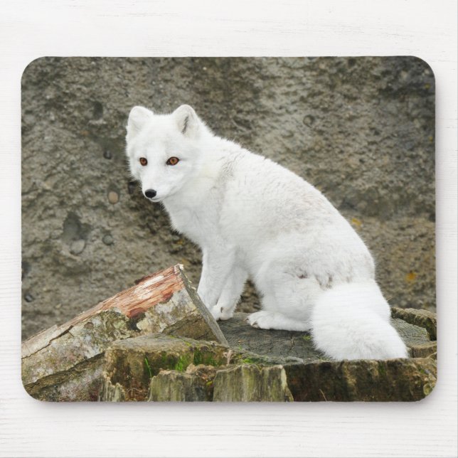 White arctic fox mousepad (Front)