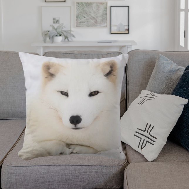 White arctic fox snow cute cushion (Creator Uploaded)