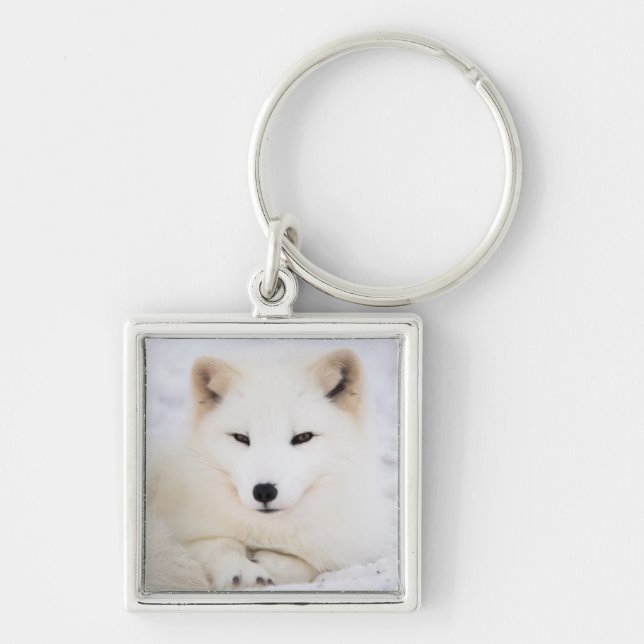 White arctic polar fox in snow key ring (Front)