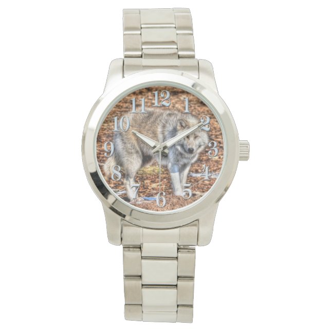 White Arctic Wolf and Forest Debris Wildlife Watch (Front)