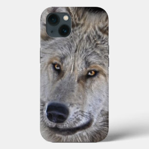 White Arctic Wolf Face Wildlife Portrait iPhone Case