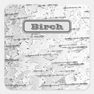 White, as in Birch Bark Photo with Name Square Sticker