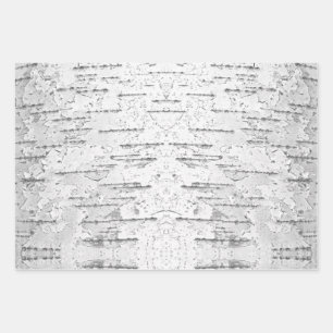 White, as in Birch Bark Photo   Wrapping Paper Sheet