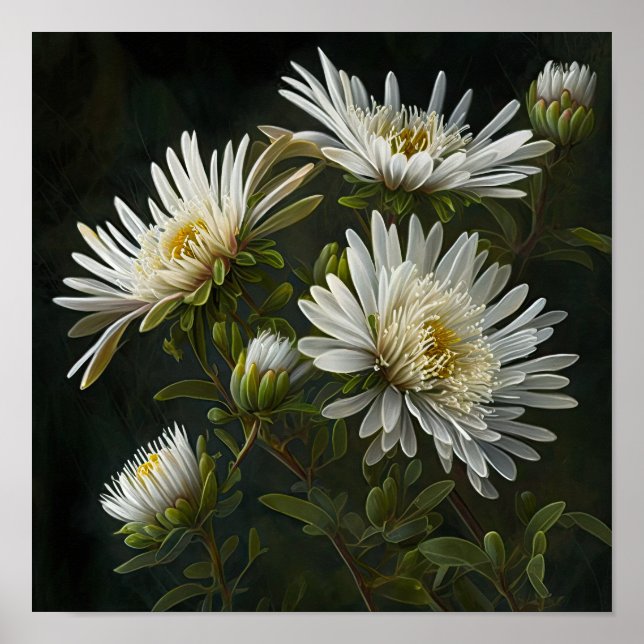 White Aster Flower Art Print Poster (Front)