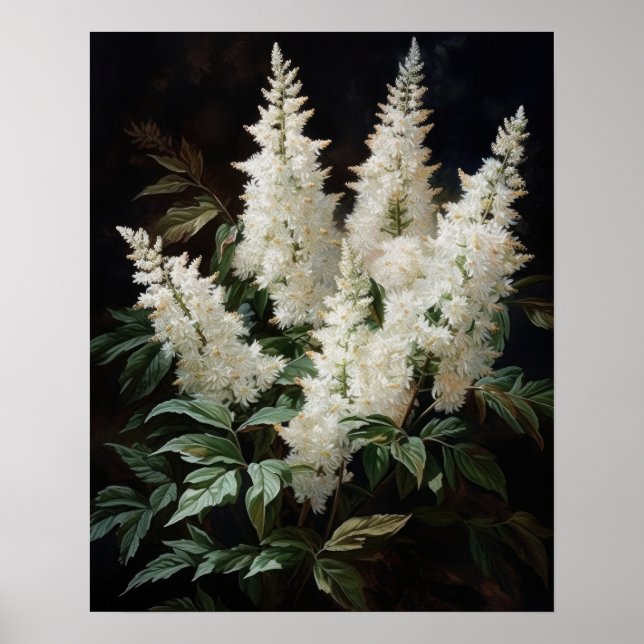 White Astilbe Flowers Art Print Poster (Front)