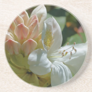 White Azalea Floral Drink Coaster