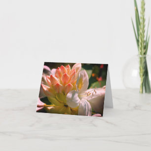 White Azalea Flower Customisable Note Card