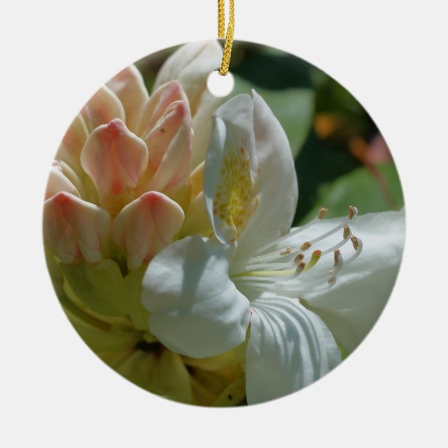 White Azalea Flower Ornament (Front)