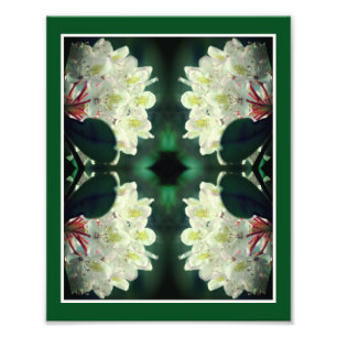 White Azalea Flower With Raindrops Abstract 8x10 Photo Print