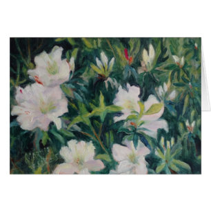 "White Azaleas"