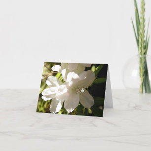 White Azalia Shadow Fairy Card