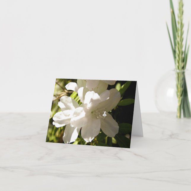 White Azalia Shadow Fairy Card (Front)